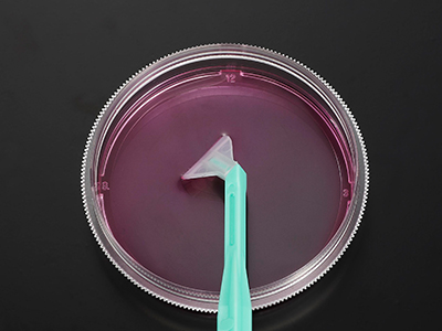 可自由旋轉刀片，能刮取各個角落，收獲細胞